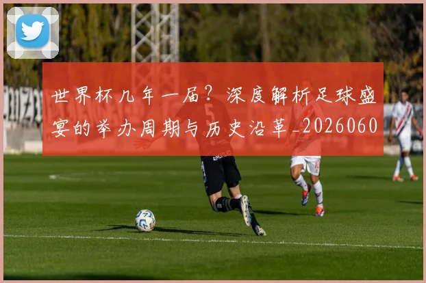 世界杯几年一届？深度解析足球盛宴的举办周期与历史沿革_20260609201307